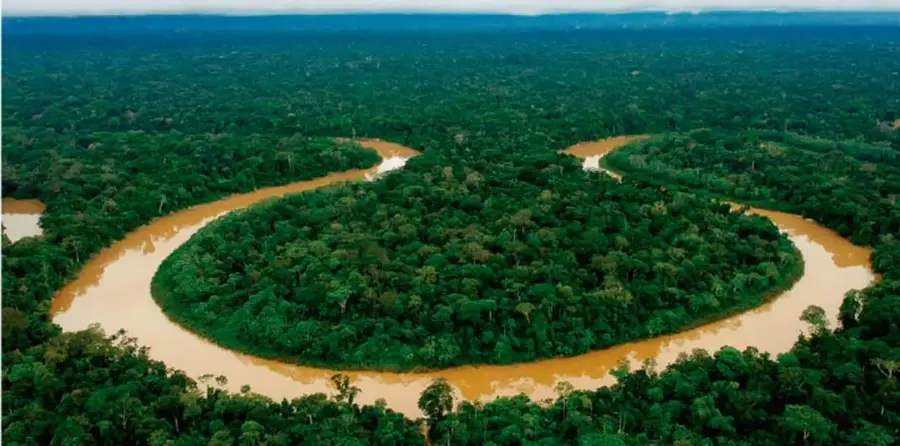 Fotografía aérea de un río amazónico con forma de meandro rodeado de selva tropical.