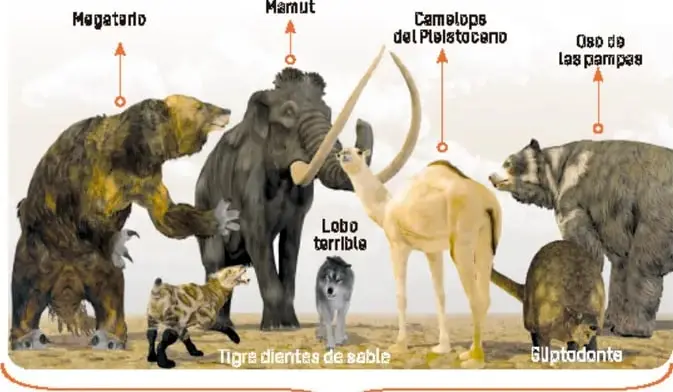 Ilustración de la megafauna extinta: megaterio, mamut, camello del Pleistoceno, oso de las pampas, lobo terrible, tigre dientes de sable y gliptodonte.