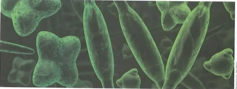 Figura 3 de Ciencias Naturales 8° · Egb 8 Ciencias Naturales 2025 · 2025