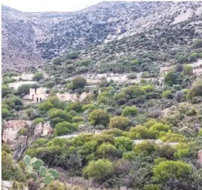 Vista panorámica del poblado en la ladera: casas de piedra y techos de tierra entre arbustos y cactus.