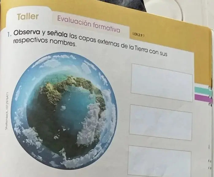 Ilustración de las cuatro estaciones con un árbol cambiando.