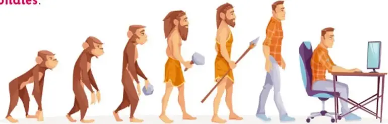 Ilustración de la evolución humana en escalones: desde un homínido cuadrúpedo hasta una mujer moderna levantando pesas, mostrando la progresión hasta la actualidad.