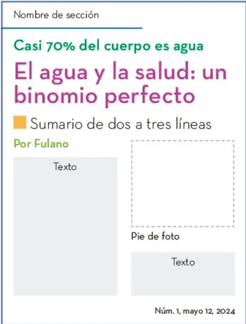 Esquema de la portada de una revista titulada «El agua y la salud: un binomio perfecto», con antetítulo «Casi 70% del cuerpo es agua», sumario de dos a tres líneas, autoría «Por Fulano», bloques de texto e imagen con pie de foto, y folio «Núm. 1, mayo 12, 2024».