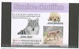 Figura 1 de Ciencias Naturales 8° · Egb 8 Ciencias Naturales 2025 · 2025