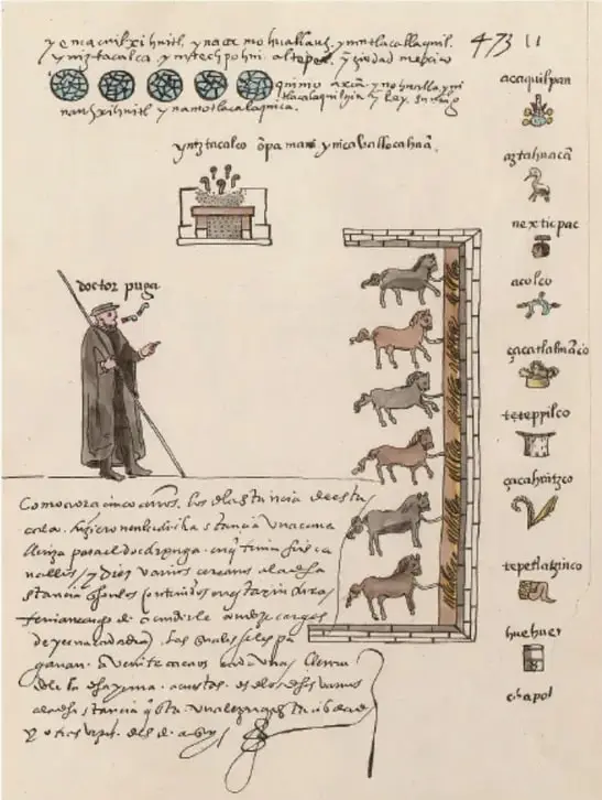 Ilustración de un códice colonial que muestra un personaje español con bastón, animales (caballos, cerdos, ovejas) y glifos con anotaciones en náhuatl y español, representando la introducción de ganado y productos.