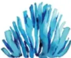 Ilustración de una anémona de mar azul con tentáculos largos y ondulados.