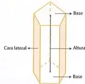 Esquema que identifica en un prisma las bases, las caras laterales y la altura.