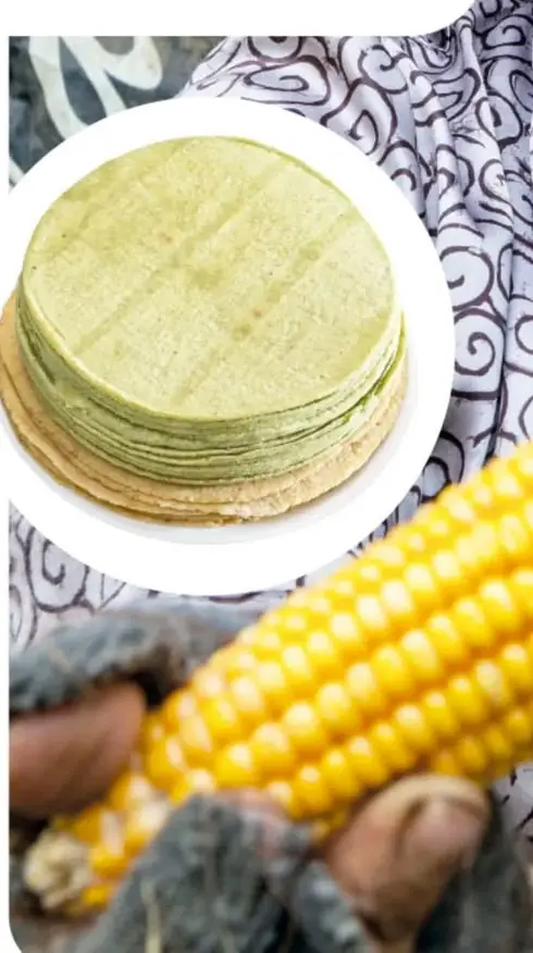 Fotografía de una pila de tortillas verdes sobre un plato blanco, junto a un elote amarillo; al fondo tela bordada.