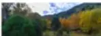 Fotografía de un paisaje natural con montañas y vegetación, asociada al texto 'Los parques naturales en peligro'.