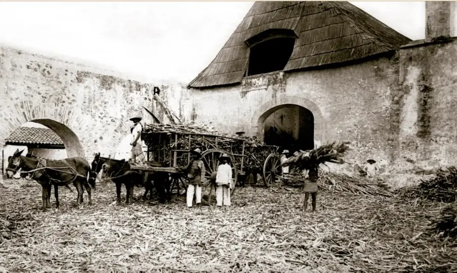 Fotografía histórica en sepia: peones de la hacienda del Hospital en Cuautla, 1900, cargando caña de azúcar y rakims en carretas tiradas por mulas, junto a construcciones de la hacienda con techos de teja y muros de adobe. Biblioteca del Congreso de Estados Unidos.
