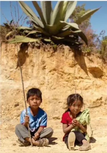 Fotografía de dos niñas sentadas en un terreno de tierra con vegetación seca (agave), representando la vida comunitaria en contextos rurales.