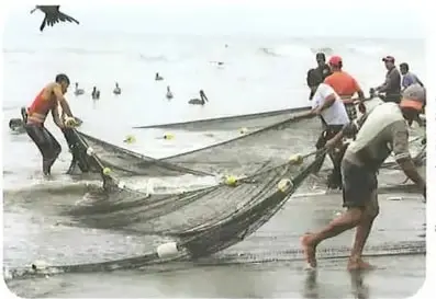 Personas realizan pesca artesanal en el mar, identificada como pesca artesanal en Manabí.