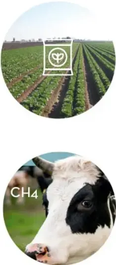 Imagen de un campo de cultivo con un ícono de reciclaje, que representa la agricultura y la necesidad de prácticas sostenibles.