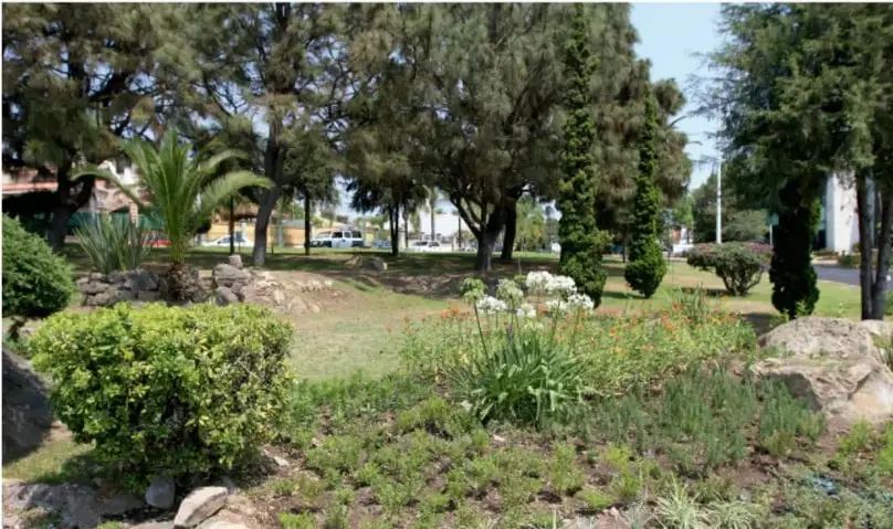 Fotografía de un jardín con árboles, arbustos, plantas con flores blancas y piedras que delimitan el espacio.