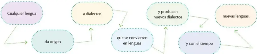 Diagrama de flujo circular con elipses conectadas por flechas punteadas que ilustra el ciclo: 'Cualquier lengua → da origen → a dialectos → que se convierten en lenguas → y producen nuevos dialectos → y con el tiempo → nuevas lenguas', regresando al inicio.