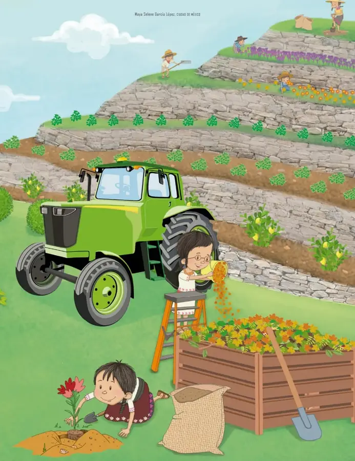 Figura 1 de Proyectos Escolares. Libro de Educación Primaria Grado 5° Ciclo Escolar 2025 - 2026
