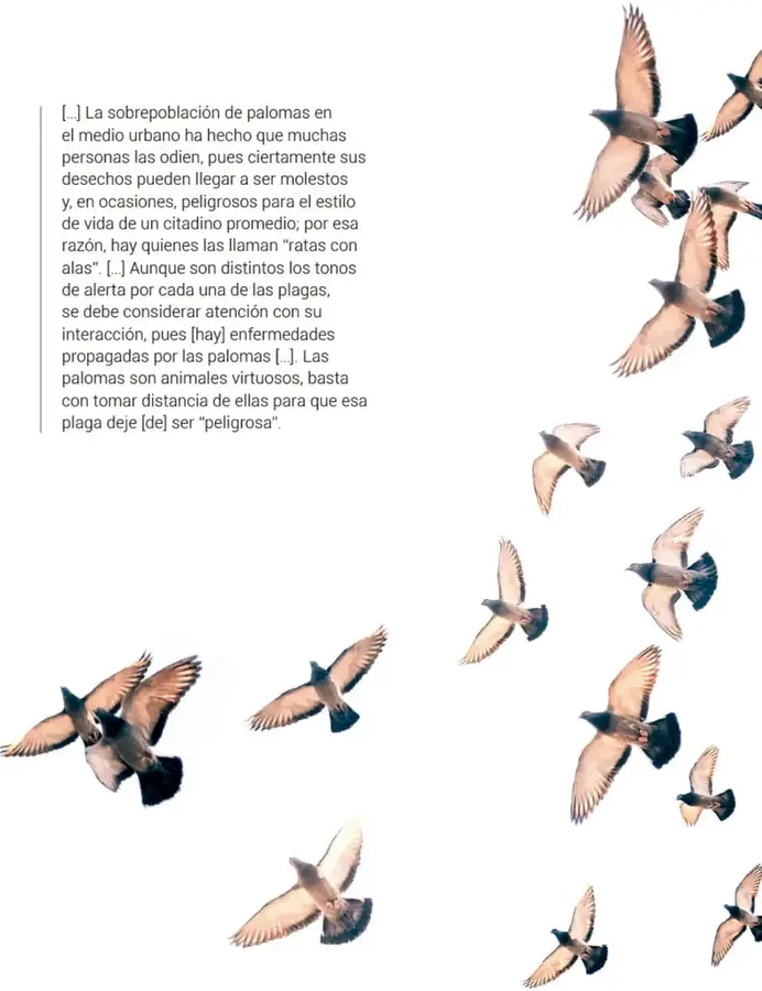 Figura 1 de Proyectos de Aula.   Libro de Educación Primaria Grado 6°  Ciclo Escolar 2025 - 2026
