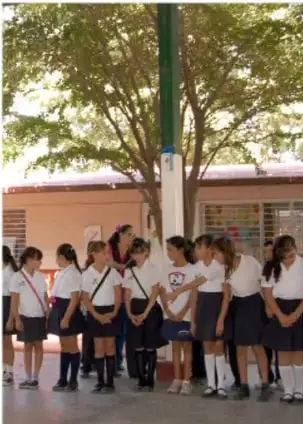 Estudiantes reunidos alrededor de un árbol en el patio escolar.