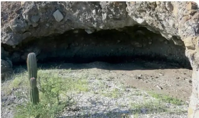Fotografía de la Cueva Tecolote, un abrigo rocoso con un cactus en primer plano, ubicada en la bahía de La Paz, Baja California Sur.