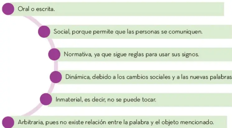 Organizador gráfico en forma de cadena curva de seis elipses verdes enlazadas por círculos morados, que enuncian las características de la lengua: Oral o escrita, Social, Normativa, Dinámica, Inmaterial y Arbitraria.
