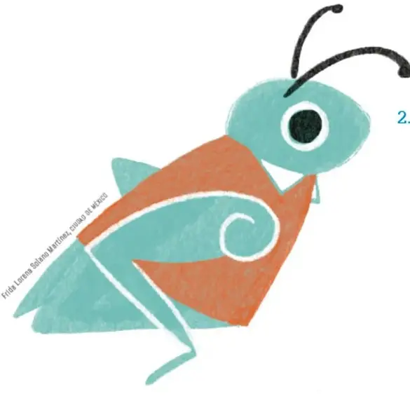 Ilustración de un insecto estilizado (saltamontes o grillo) en tonos verde agua y naranja, con antenas largas y un ojo grande; firma Frida Lorena Solano Martínez, Ciudad de México.
