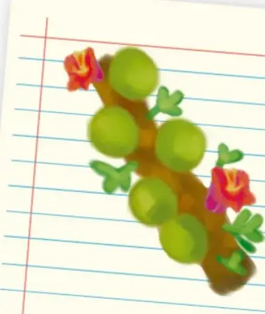 Ilustración de una rama con frutos redondos verdes y flores rojas y amarillas, acompañada de una ficha escrita a mano sobre una planta medicinal llamada cuatecomate.