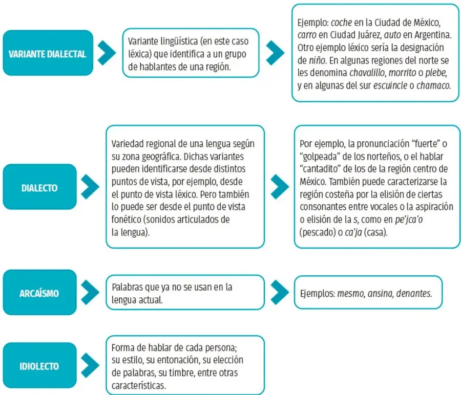 Organizador gráfico con cuatro bloques de color turquesa (variante dialectal, dialecto, arcaísmo e idiolecto), cada uno con una flecha que lleva a su definición y, en su caso, a ejemplos ilustrados