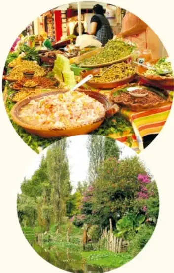 Fotografía circular de un canal de Xochimilco con vegetación y flores.