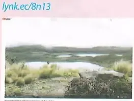 Imagen de un paisaje de humedal asociada a un video sobre el Parque Nacional Llanganates.