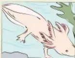 Ilustración de un dinosaurio marino (posible megalodón) junto a otro animal prehistórico