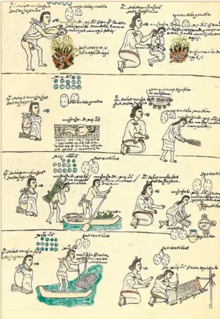Página del Códice Mendoza (folio 60) con cuatro registros horizontales que muestran a adultos y niños indígenas en actividades de educación: junto a un fogón, coser y sembrar, cazar y pescar, y comerciar en el tianguis.