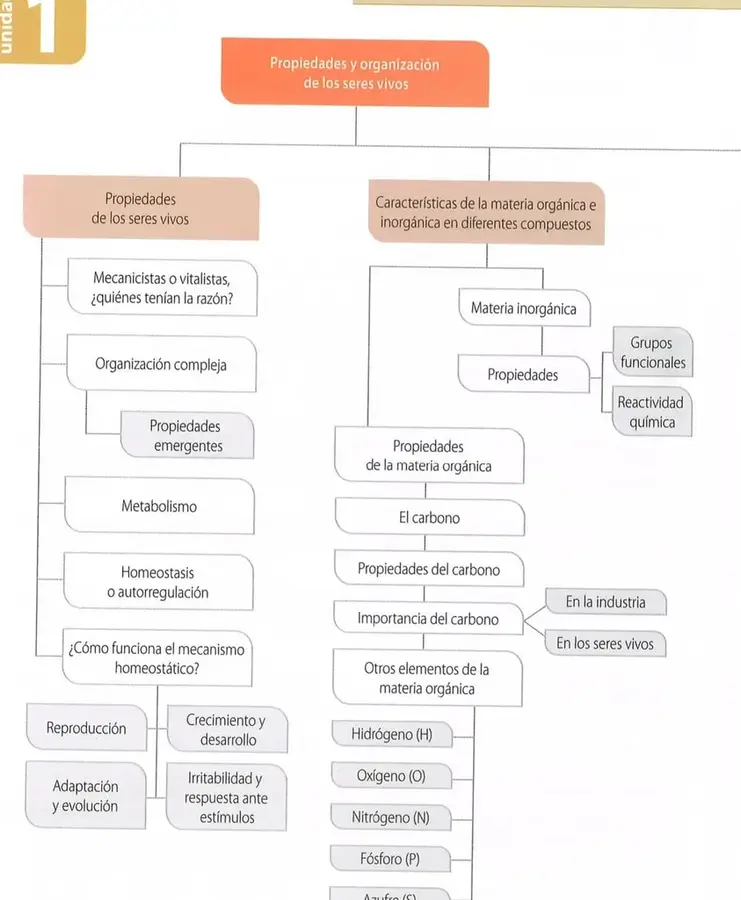 Figura 1 de Ciencias Naturales 8° · Egb 8 Ciencias Naturales 2025 · 2025