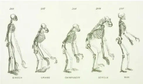 Fotografía de la portada antigua y amarillenta del libro 'The Origin of Species by Means of Natural Selection', de Charles Darwin, editado en Londres por John Murray.