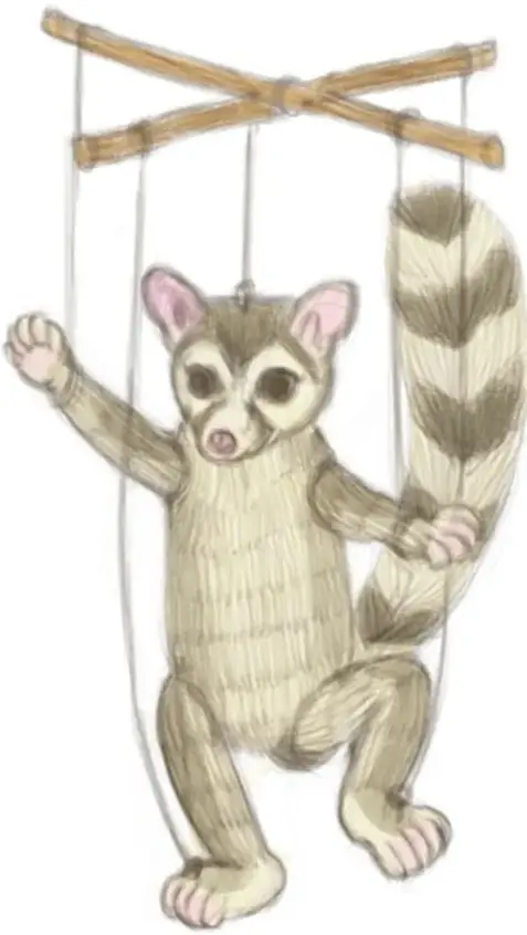 Marioneta de cacomixtle (animal con cola anillada) suspendida de hilos atados a una cruceta de madera.
