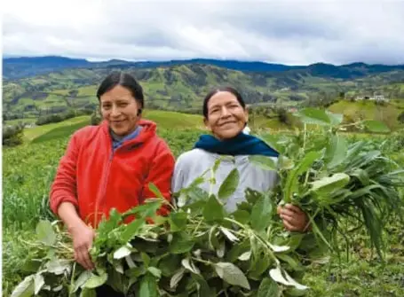 Dos personas, una con chamarra roja y otra con suéter, sostienen ramas verdes en un campo con montañas al fondo.