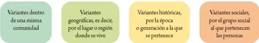 Cuatro recuadros de colores que clasifican las variantes: dentro de una misma comunidad, geográficas, históricas y sociales.