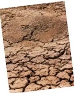 Fotografía de un terreno seco y agrietado, que representa la escasez de agua.