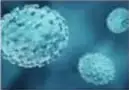 Virus de viruela bajo microscopio.