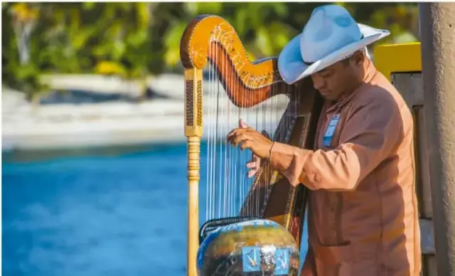 Fotografía de un músico tocando un arpa grande junto al mar, con un sombrero de ala ancha y camisa color salmón. Representa la música tradicional y el patrimonio cultural de una comunidad.