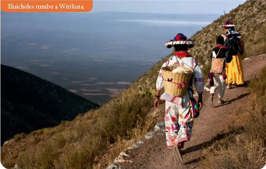Fotografía de huicholes caminando por un sendero de montaña rumbo a Wirikuta, con vestimenta tradicional y canastas.