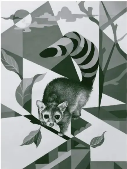 Ilustración geométrica en tonos verdes y grises de un mamífero pequeño de cola anillada (parecido a un cacomixtle) entre hojas y formas triangulares.