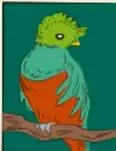 Pájaro verde y naranja posado en una rama.