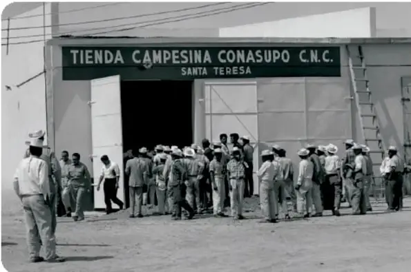 Retrato en blanco y negro de Rubén Jaramillo, fundador del Partido Obrero Agrario de Morelos, asesinado en 1962.