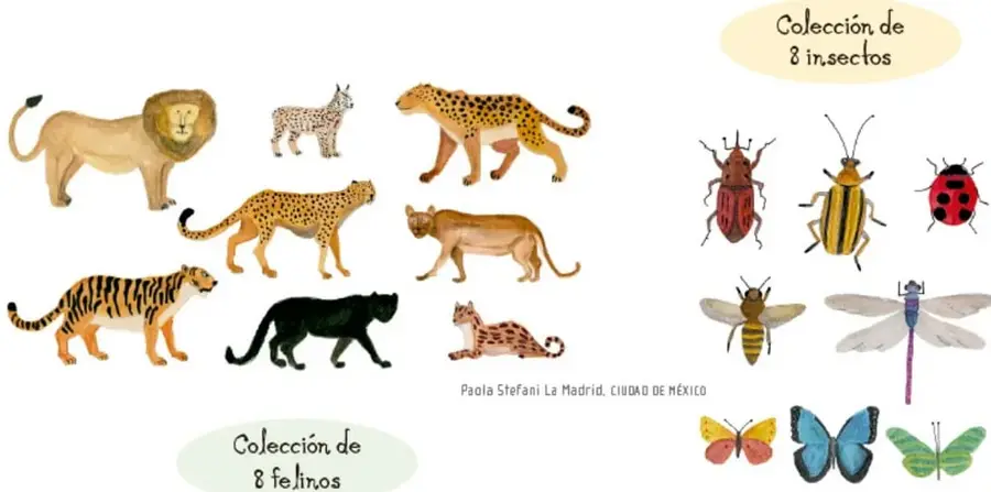 Colección de 8 felinos ilustrados (león, guepardo, ocelote, tigre, pantera, lince, jaguar) junto a una colección de 8 insectos (escarabajo, mariquita, abeja, libélula y tres mariposas).