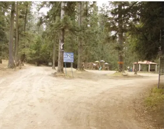Fotografía de un camino de terracería en un bosque de pinos, con señales informativas, un kiosco y bancos al fondo (área recreativa protegida).