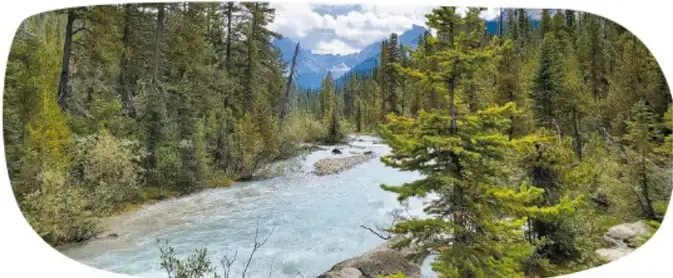 Fotografía de un río que atraviesa un bosque de coníferas con montañas al fondo, ejemplo de ecosistema.