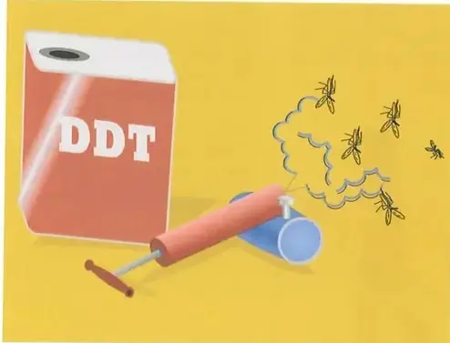 Imagen alusiva al DDT mostrando que la mayoría de insectos no resiste su acción, con excepciones