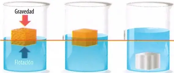 Figura 3 de Ciencias Naturales 9° · 2025