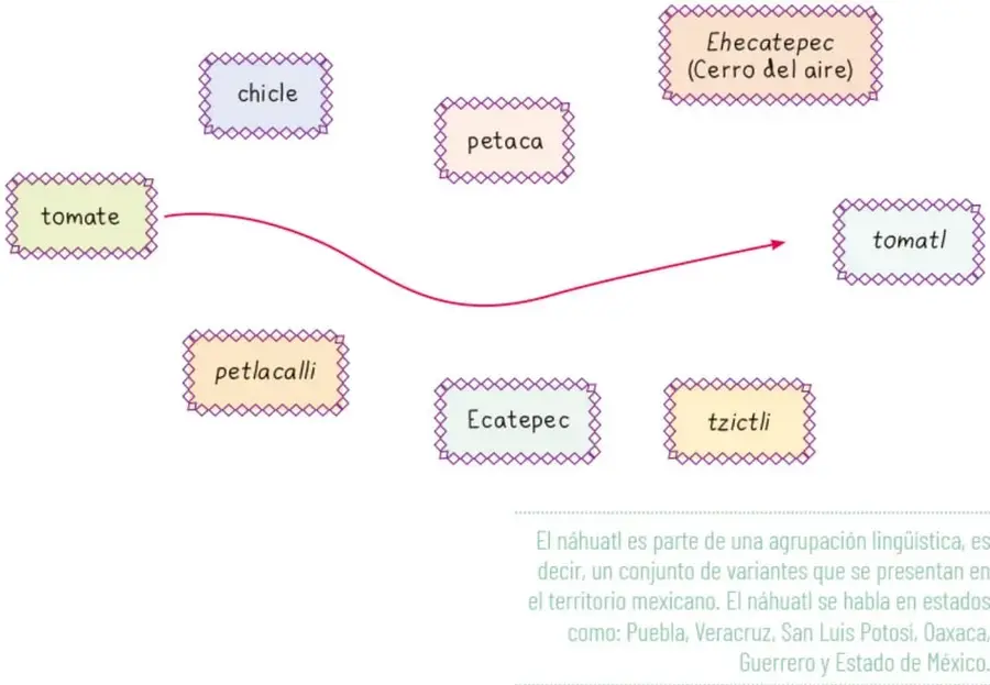 Recuadros con palabras en español y en náhuatl unidos por una línea de ejemplo entre tomate y tomatl.