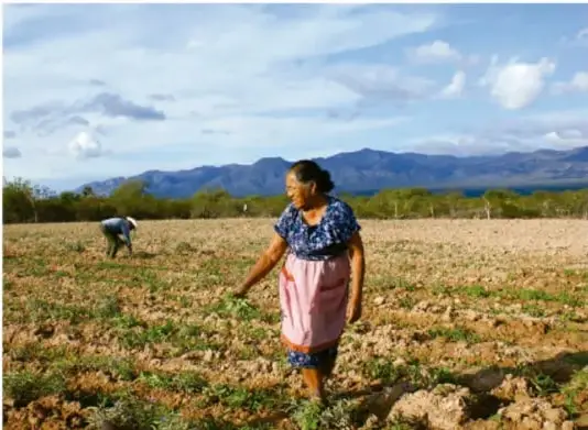 Fotografía de personas trabajando la tierra en un campo con montañas al fondo; corresponde al ejemplo de plano general (long shot).